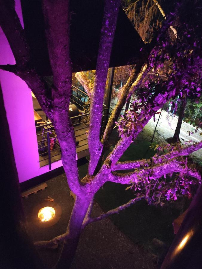 Cabanas San Marcos Mazamitla Buitenkant foto